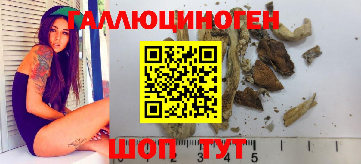 Псилоцибиновые грибы Magic Shrooms Чебаркуль