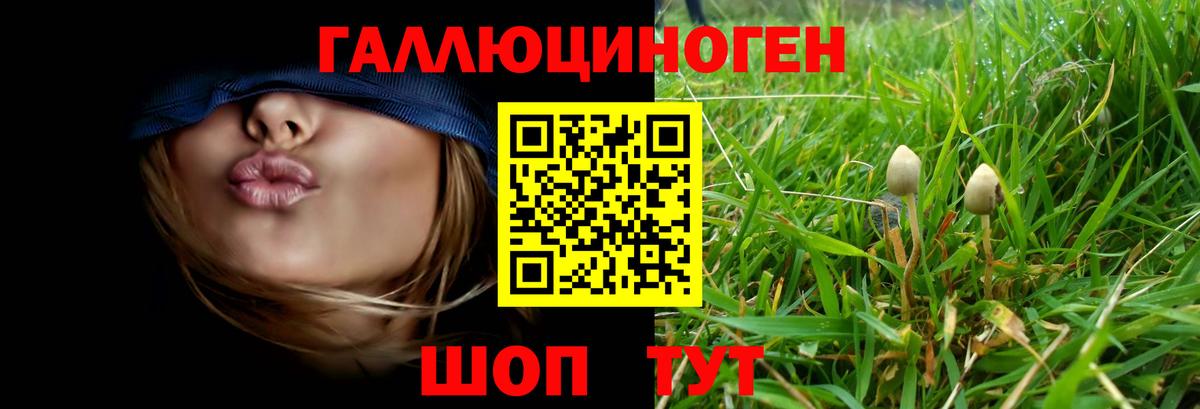 Чебаркуль  Псилоцибиновые грибы MAGIC MUSHROOMS  купить наркотик  Галлюциногенные грибы мицелий  Вход с VPN 